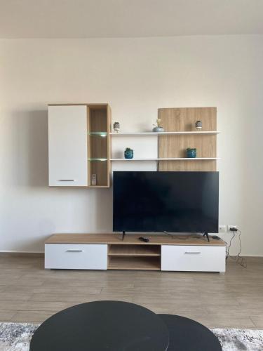 One-Bedroom Apartment image 6