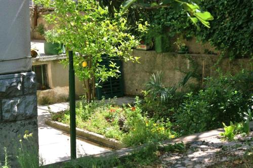 Apartment Brane - location & garden - image 5
