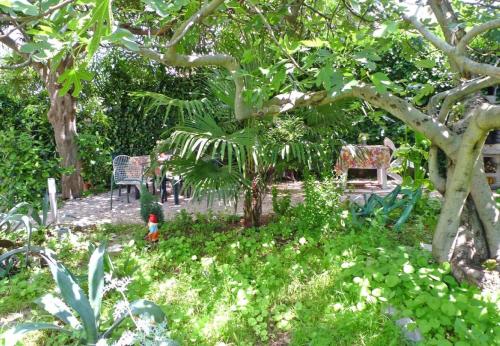 Apartment Brane - location & garden - image 14