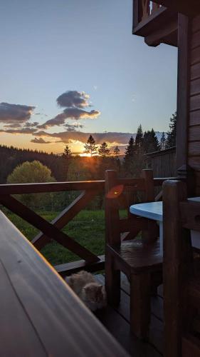 Карпатська Модринка, Vorochta (fotografie 5)