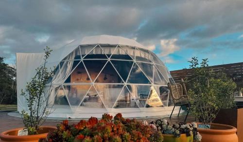 Exterior view of Wilder Tasmania