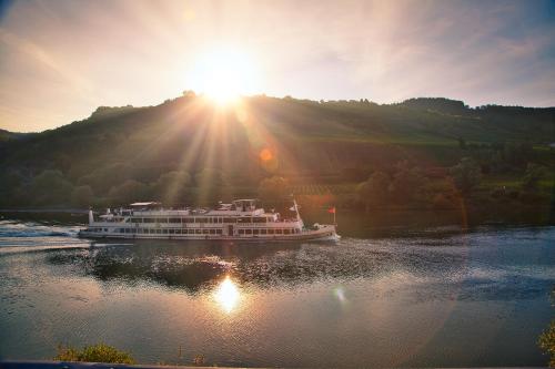 Mayer's Weinhotel - image 9