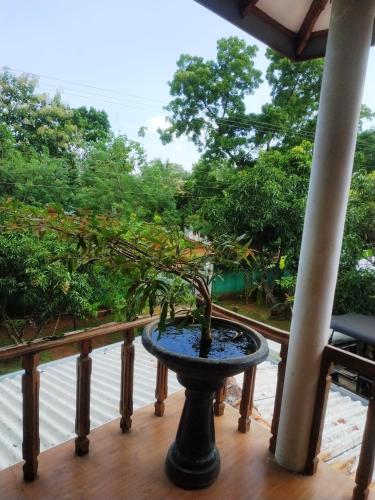 정원, Green Heaven Resort Udawalawa in 우다왈라위