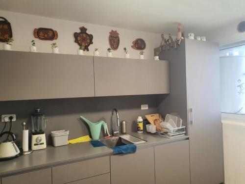 דירה מדברית in Halamish