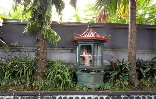 Azalia home in Kutoarjo