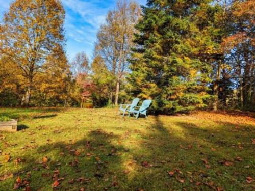 Jacuzzi, Fireplace, Nature, Views, Peaceful, Patio in Blairsville, USA
