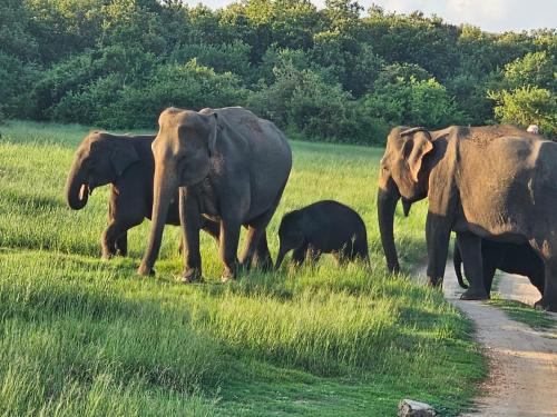 New Sandra Guesthouse