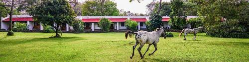 Ngare Sero Mountain Lodge