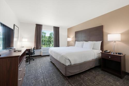 King Room with Roll-In Shower - Disability Access