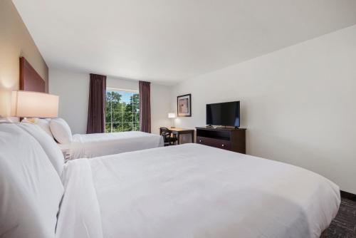 Deluxe Queen Suite
