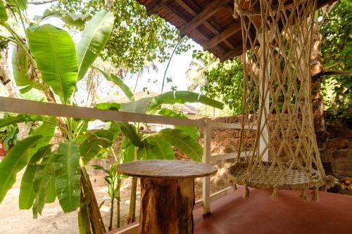 Garden, Spaceland in Mandrem