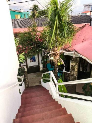 Estrella del sur in San Luis