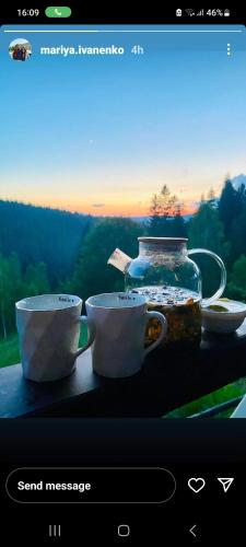 Карпатська Модринка, Vorochta (fotografie 4)