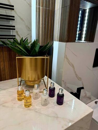 EcoStay Celebrity 2 BDR luxurious apartment by the sea#, Atene (foto 2)