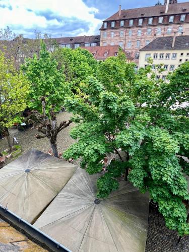 Soeurs, Strasburgo (foto 11)
