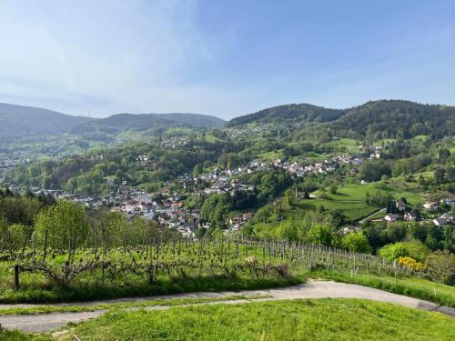 Ferienwohnung Schwarzwaldblick in Buhlertal