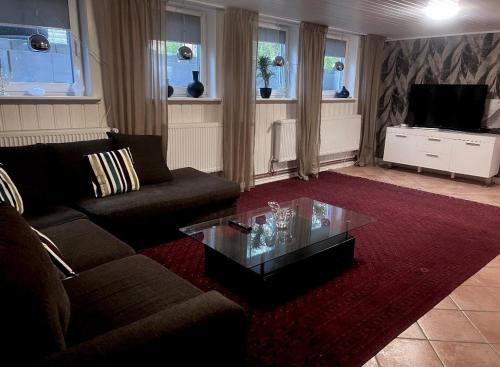 ห้องส่วนกลางสำหรับนั่งเล่น/ดูทีวี, Mjörnvilla (Mjornvilla) in อลิงก์โซส