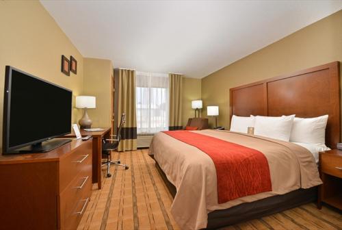 Comfort Inn & Suites Cedar Rapids North - Collins Road - image 5