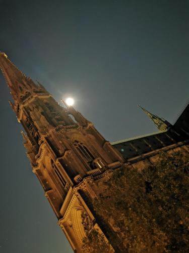 FEWO am Neuen Dom - image 10
