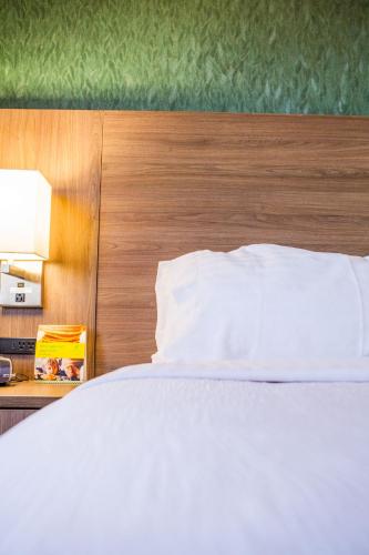 德梅因市中心怜悯校区假日酒店 德梅因市中心怜悯校区假日酒店