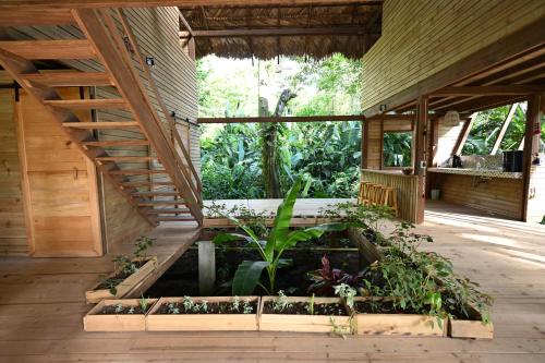Kert, Madre Selva Eco Lodge in Nuqui