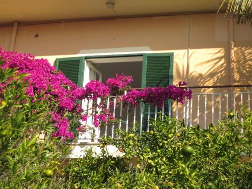 Hotel Villa Degli Aranci - image 3