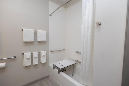 Holiday Inn Express Hotel and Suites Marysville an IHG Hotel - image 28