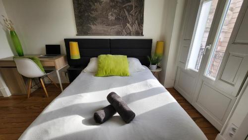 Le Jardin d'Éden Premium - équipé, balcon, hypercentre, Toulouse (fotografie 6)