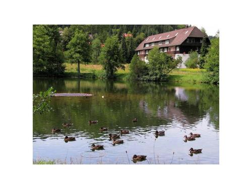 Comfortable holiday residence on the lake in Herrischried, Deutschland