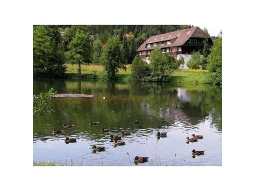 Comfortable holiday residence on the lake in Herrischried, Deutschland