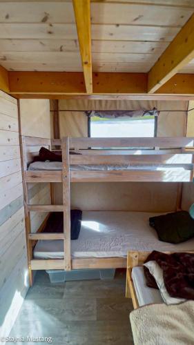 Spokojny Glamping in Rzucewo