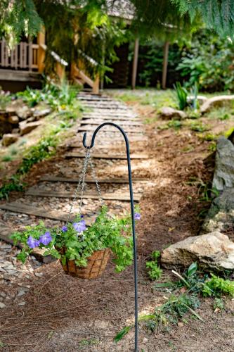 Multi-Level Forest Lodge Near Silverwood with Vintage Ice Cream Parlor & Movie Theater in Blanchard (ID)