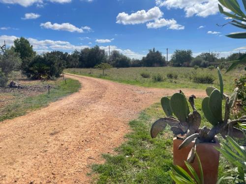  Finca Can Alba in Llucmajor