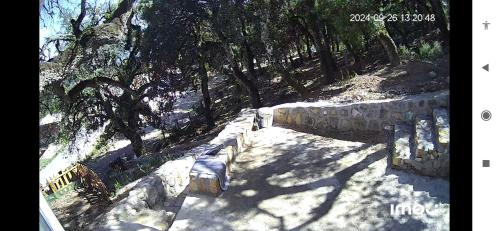 DarAlRayhan DarAlRayhan