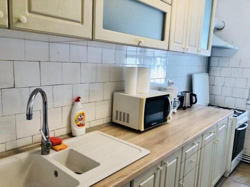 蒂米什瓦拉 Joy City Stay Family Ultracentral 3星级 单人房 景观