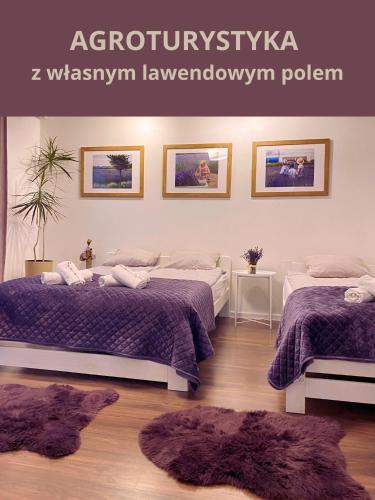 Lawendowa Przystań Sandomierska