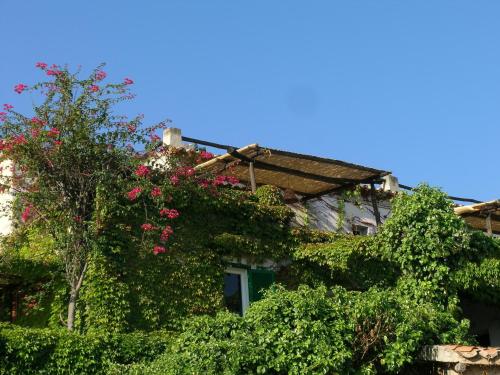  Appartamenti Salato in Tropea