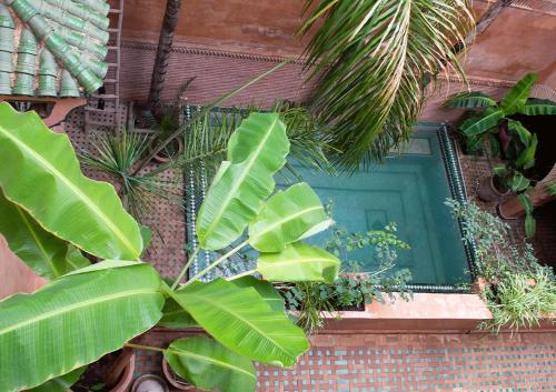 Riad Amirat Al Jamal - image 7
