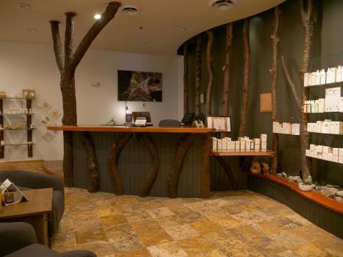 Greek Peak Mountain Resort - 스파