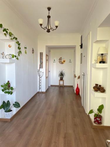 Friendly Home, Telavi (fotografie 10)
