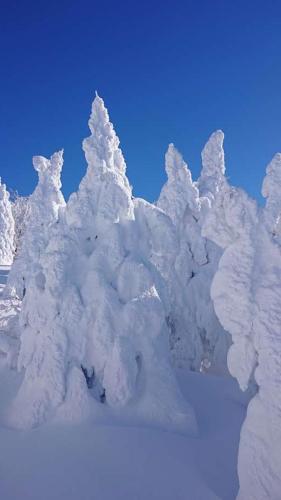 蔵王温泉 林檎屋, Yamagata (Foto 10)