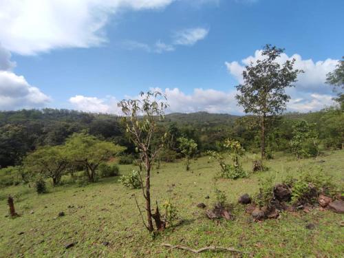Gubbikanta Homestay in Banumane