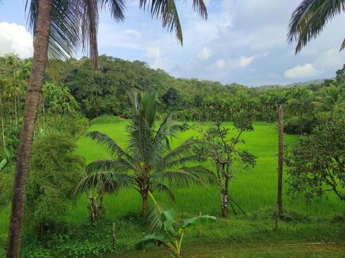 Gubbikanta Homestay in Banumane