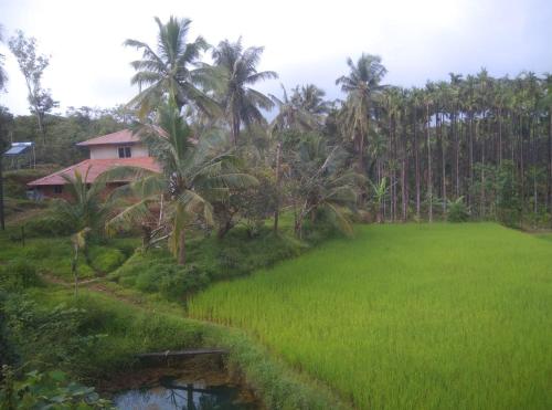 Gubbikanta Homestay in Banumane