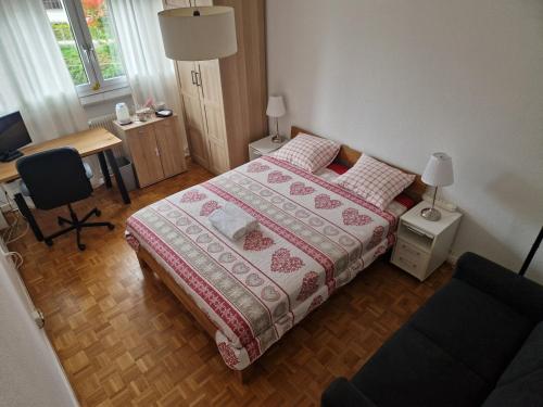 Room in Shared Apartment Geneva, Ženeva