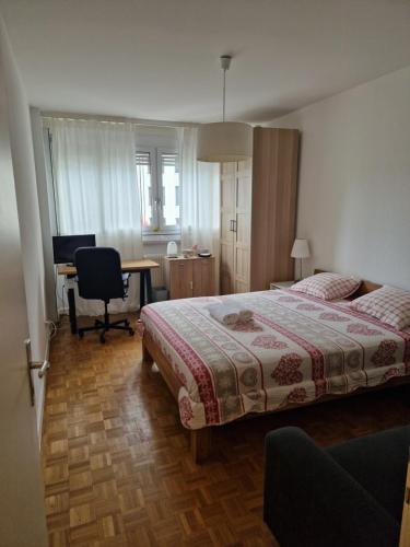 Room in Shared Apartment Geneva, Ginebra (foto 8)