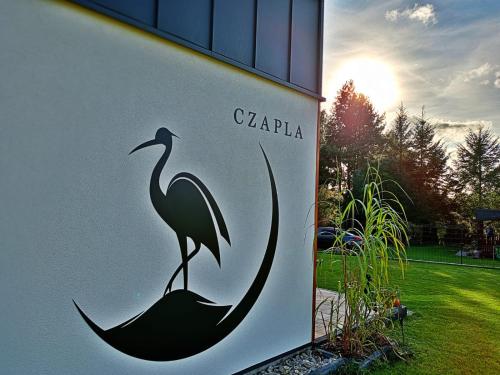 Żuraw i Czapla