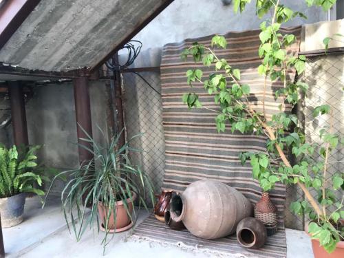 Гостевой дом Гостевой дом