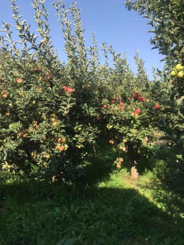 Гостевой дом Гостевой дом