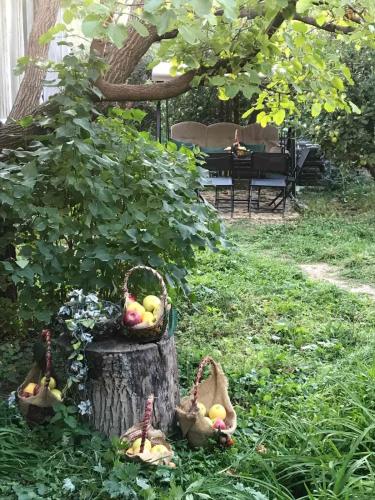 Гостевой дом Гостевой дом